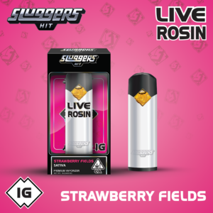 Sluggers Hit | Strawberry Fields | Live Rosin | All-In-One | 1g
