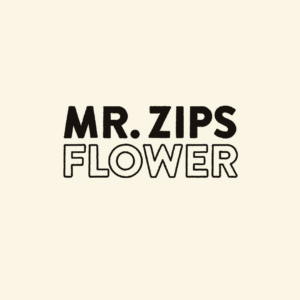 MR. ZIPS