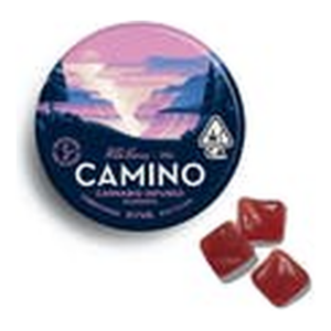 Camino Wild Berry Gummies (100mg)