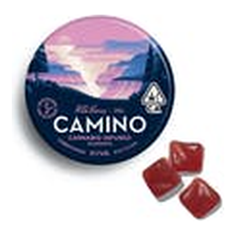 Camino | Wild Berry | Gummies | 100mg