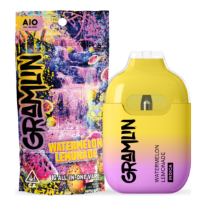 Watermelon Lemonade All-In-One Vape (1g)
