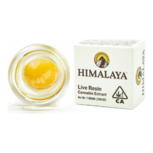 24K Goat Live Resin Terp Sugar (1g)