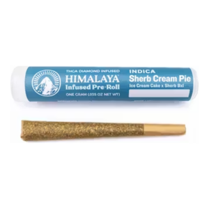 Sherb Cream Pie Infused Pre-Roll (1g)
