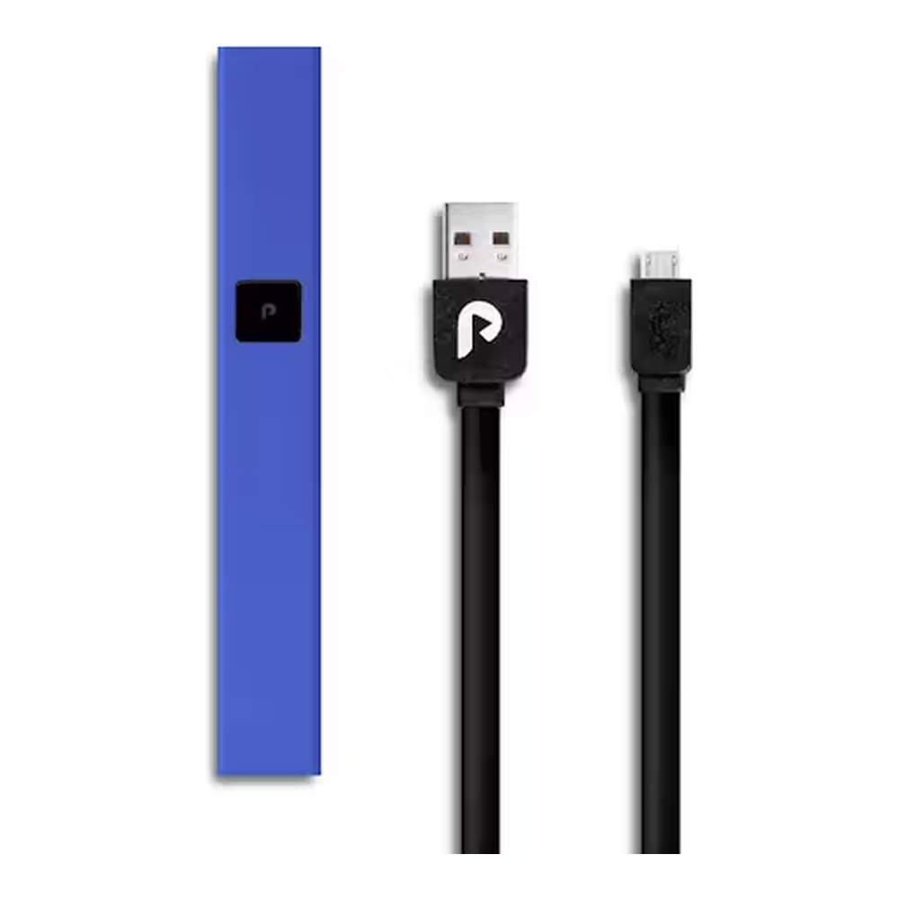 PLUGplay | Blue Steel | Battery