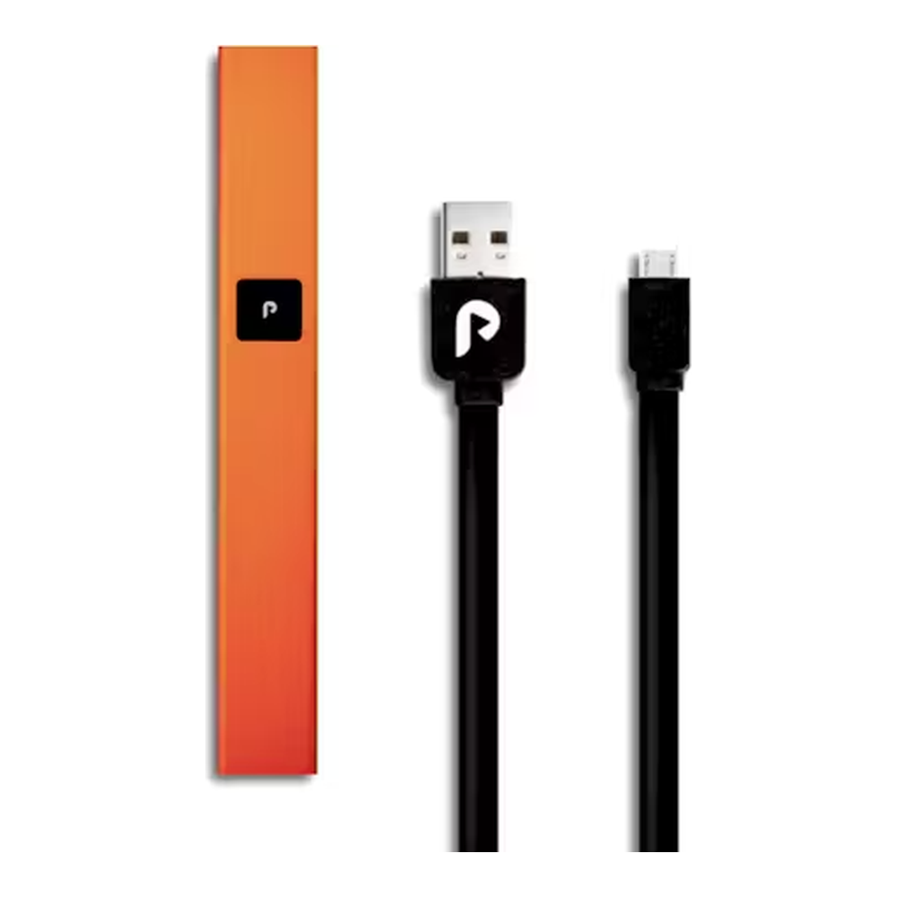 PLUGplay | Orange Steel | Battery