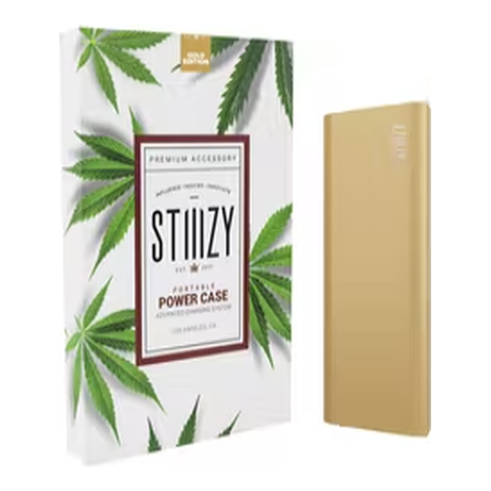 Power Case | Gold