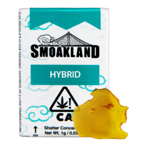 Lemon Splash Shatter (1g)