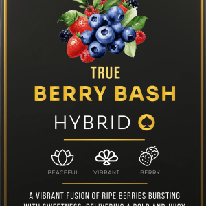 Ace Berry Bash