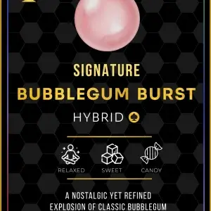 Ace Bubblegum Burst