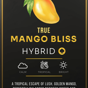 Ace Mango Bliss