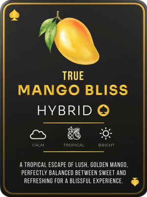Ace Mango Bliss