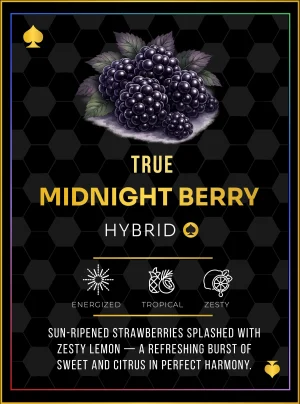 Ace Midnight Berry