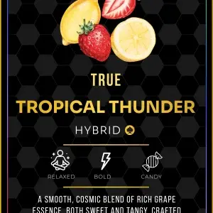 Ace Tropical Thunder
