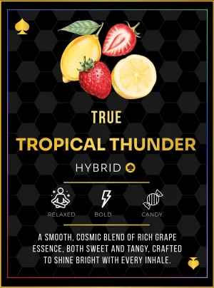 Ace Tropical Thunder